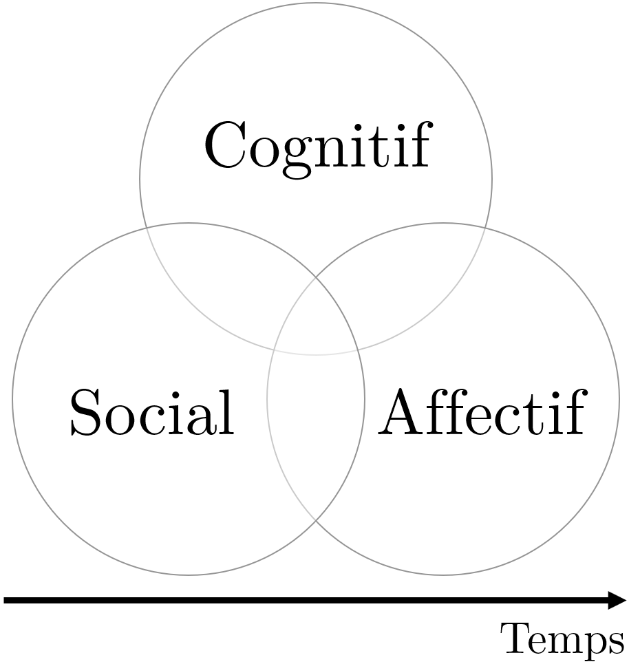 Intersection entre cognitif, social et affectif